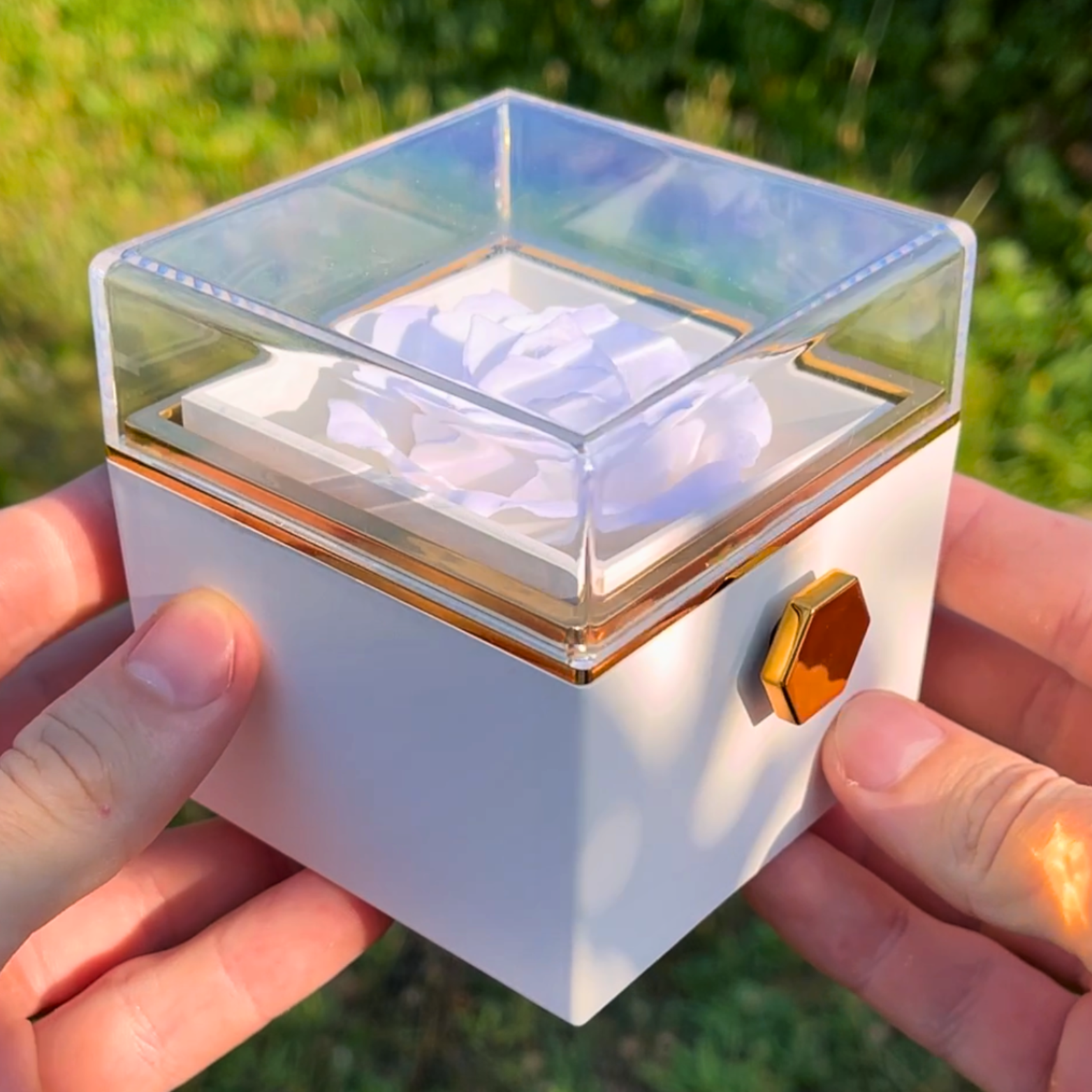 Dárková krabička - Otáčecí růže