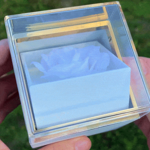 Dárková krabička - Otáčecí růže