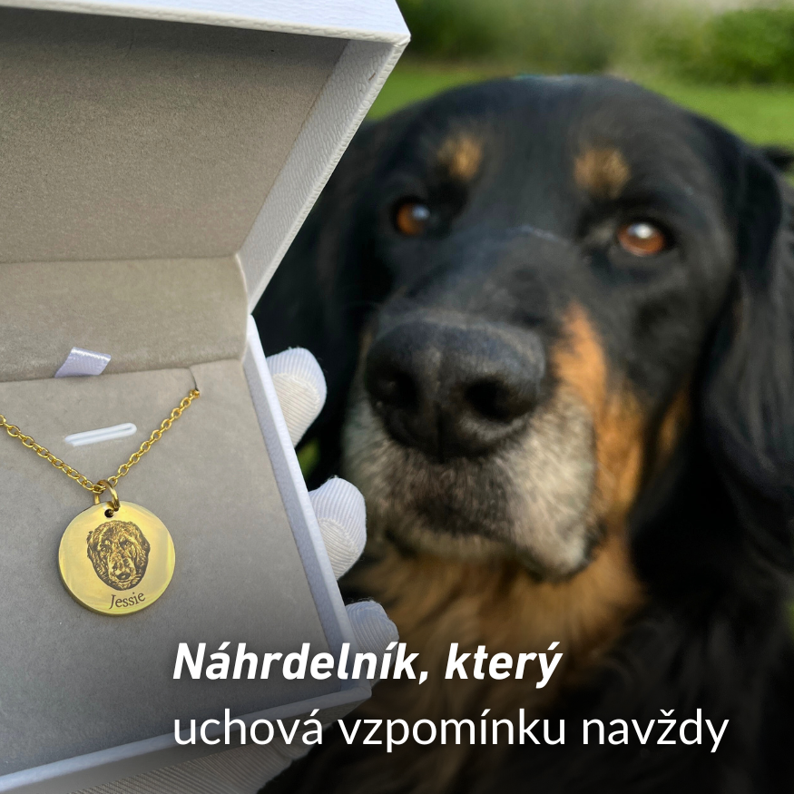 Náhrdelník s obrázkem mazlíčka