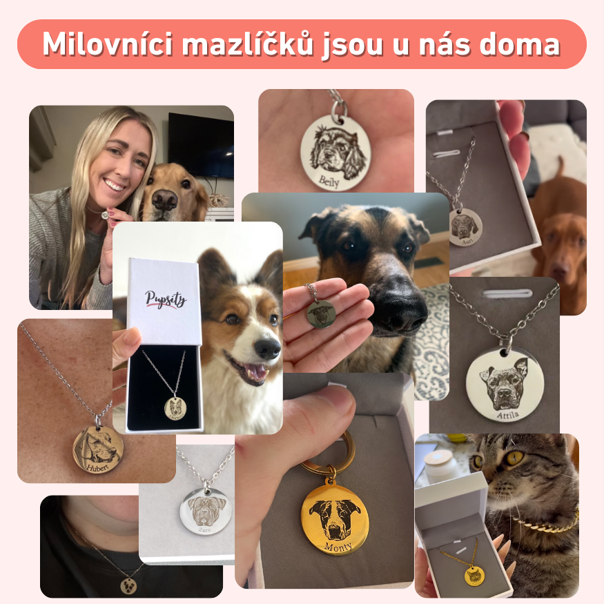 Srdcový náhrdelník s obrázkem mazlíčka